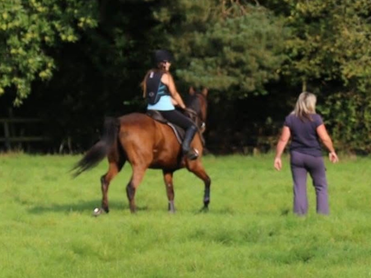 Tillington Stables
