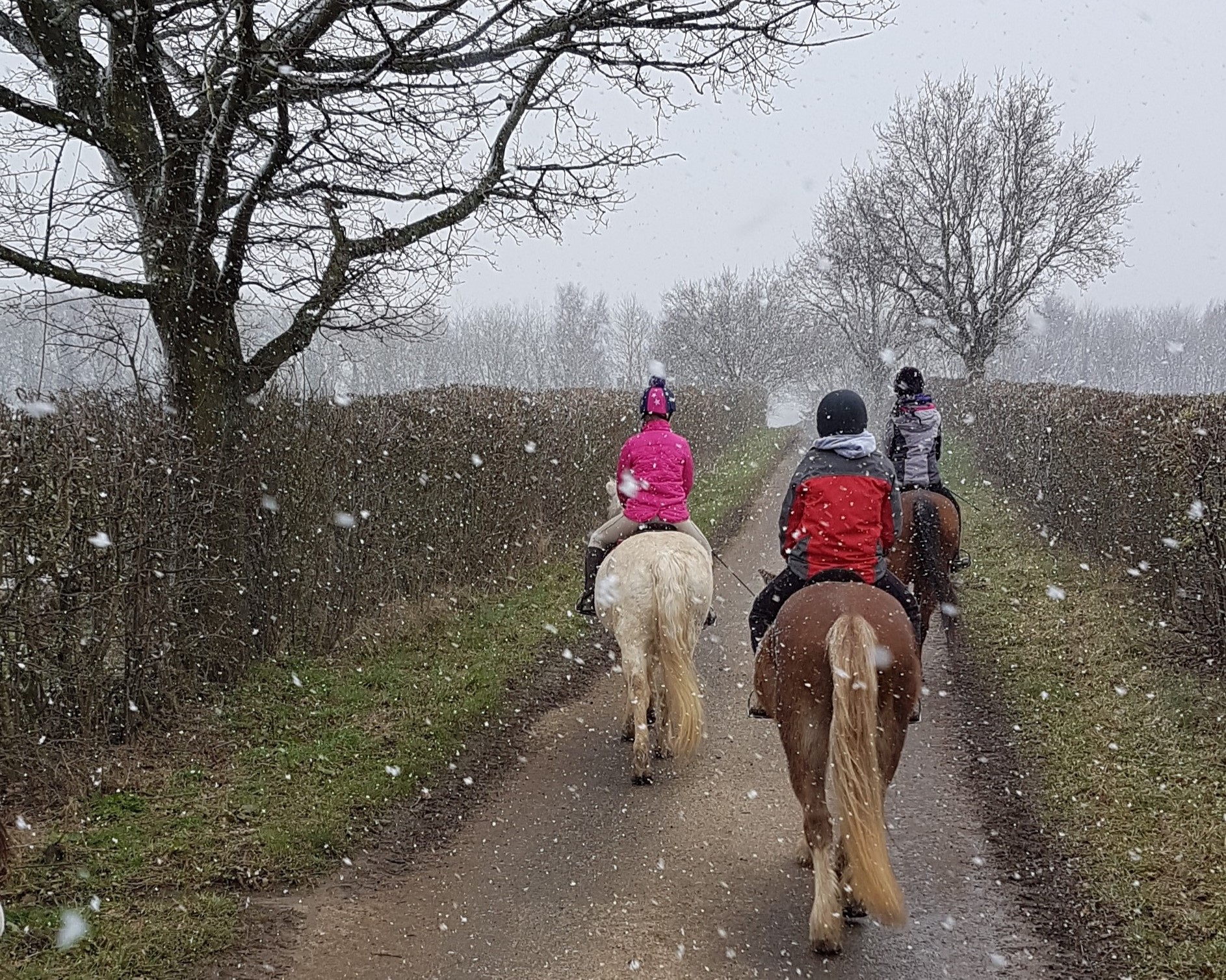 Winter hacking
