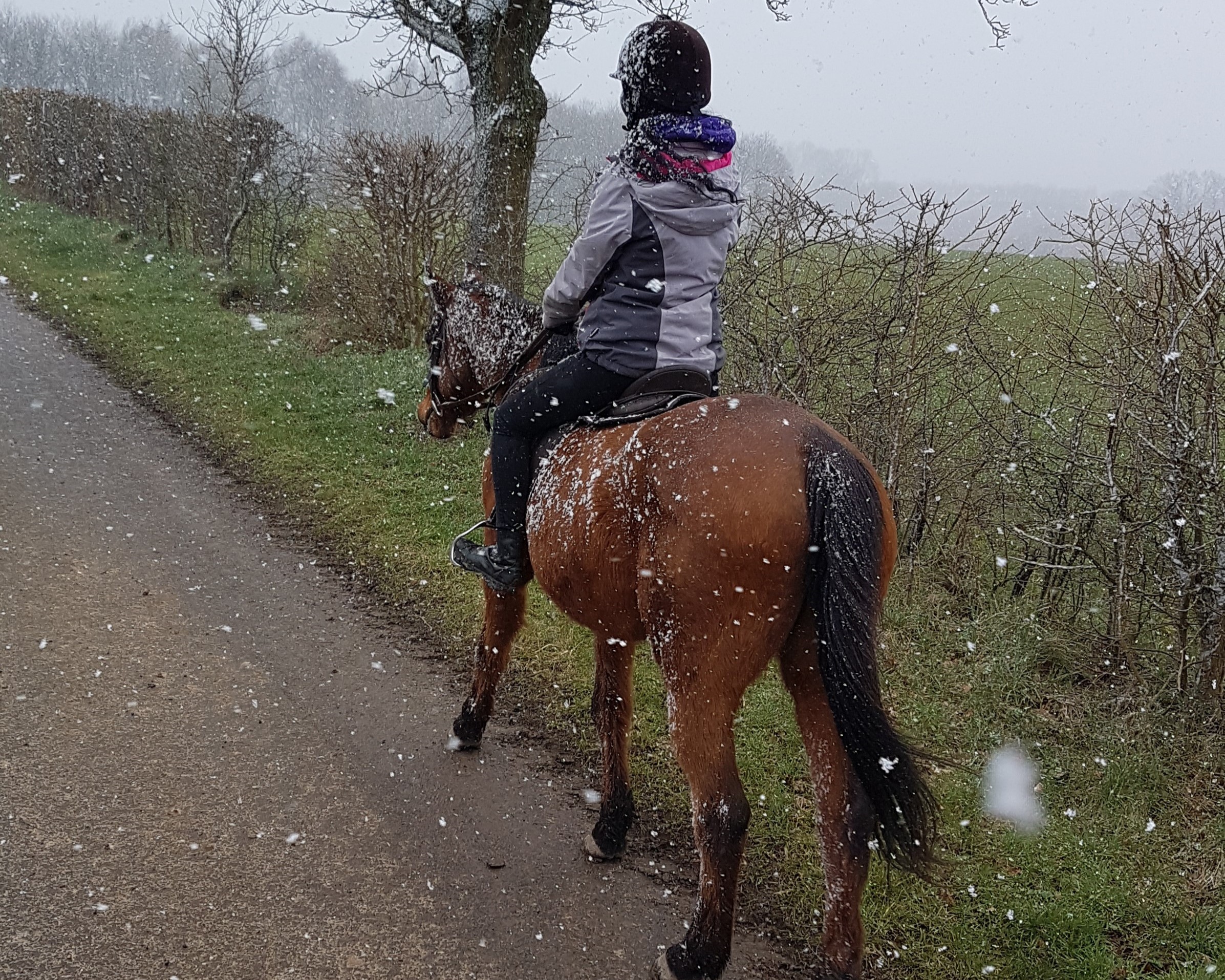 Winter hacking