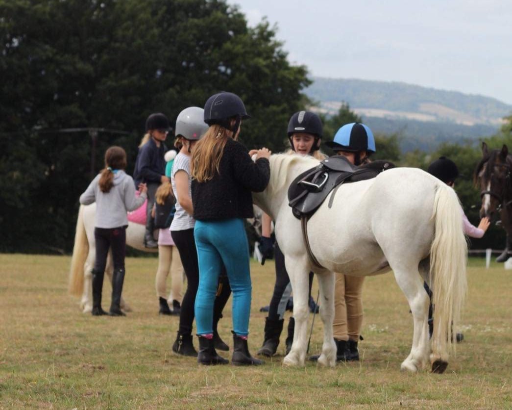 Pony morning