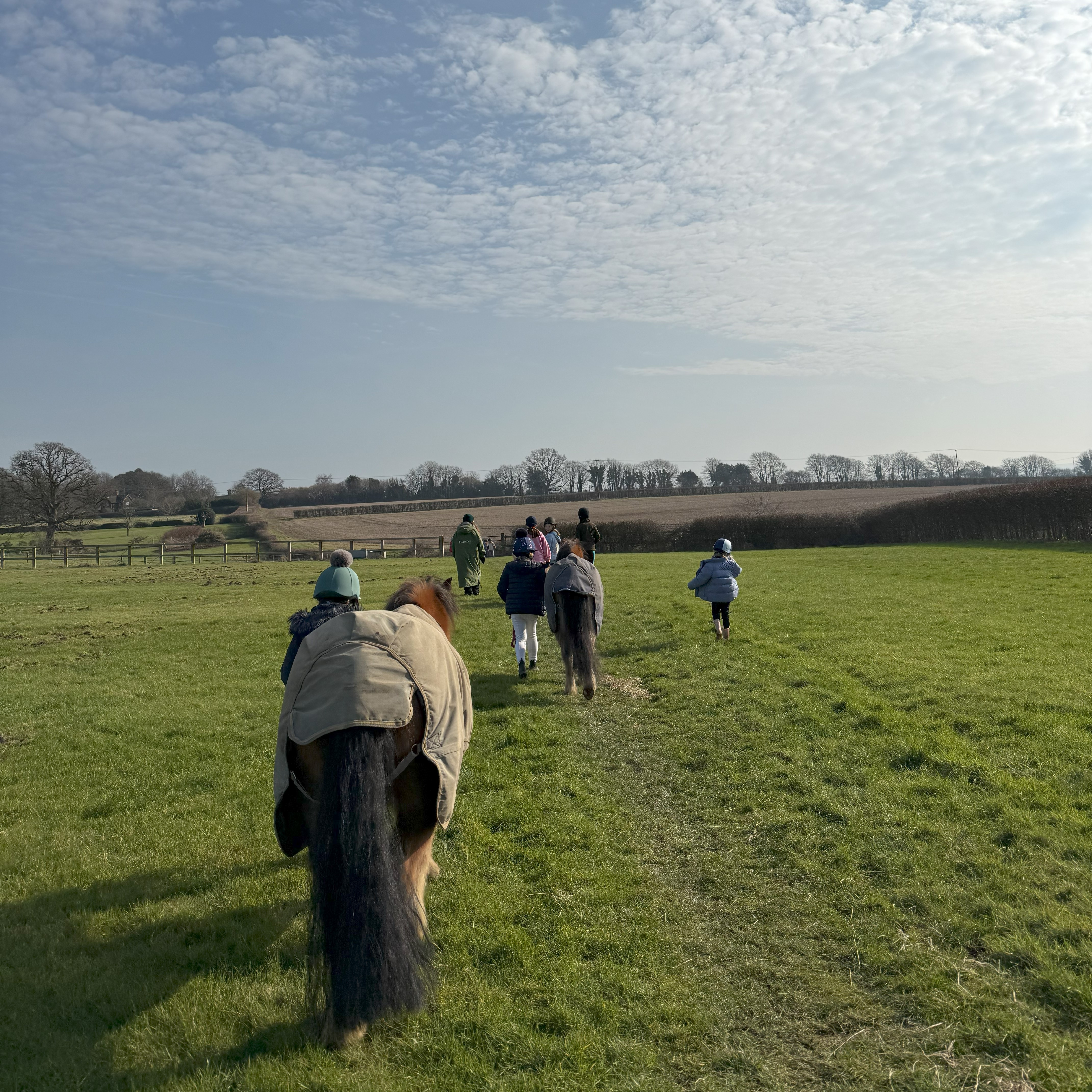 Half Term Pony Mornings 2025