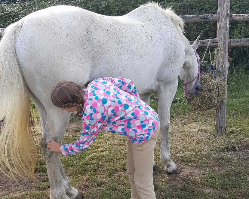 Pony morning