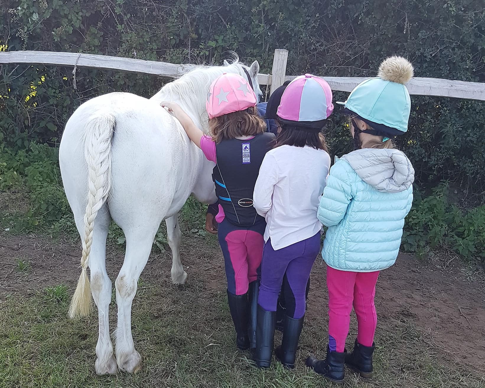 Pony morning