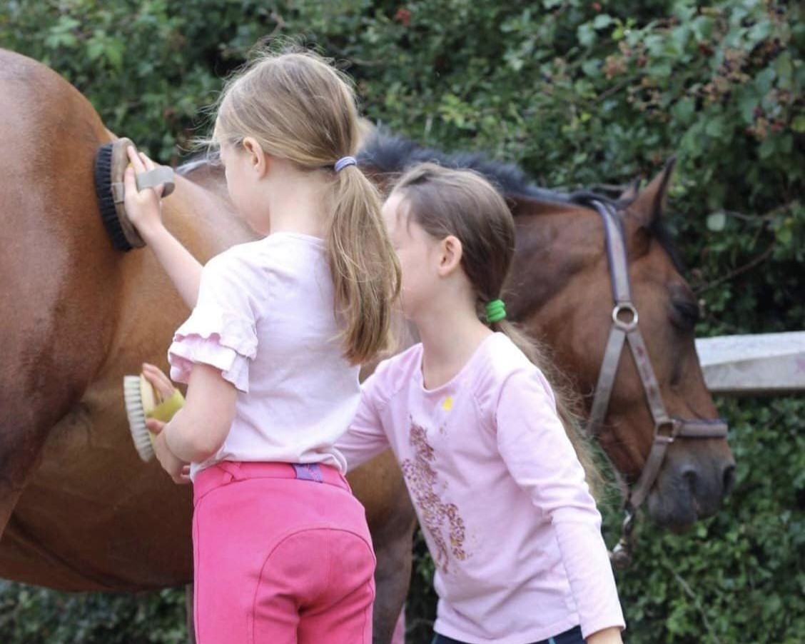 Pony morning