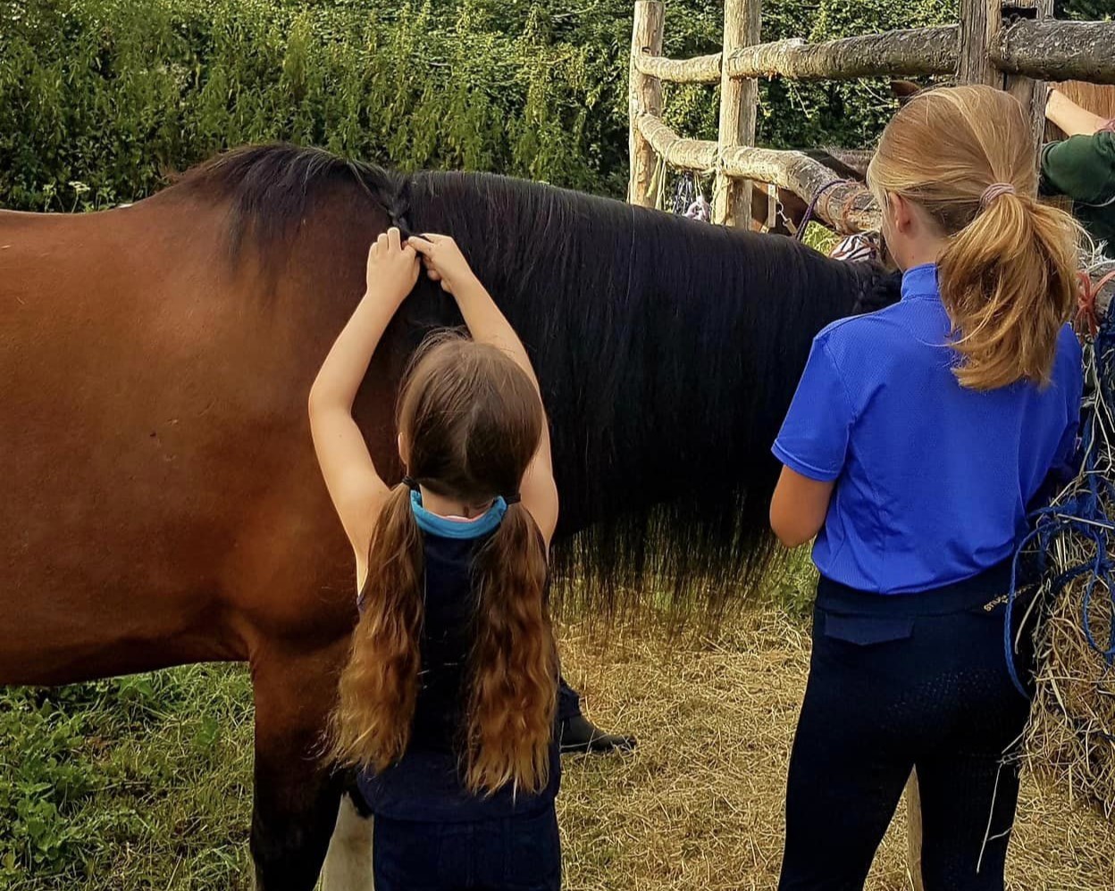 Pony morning